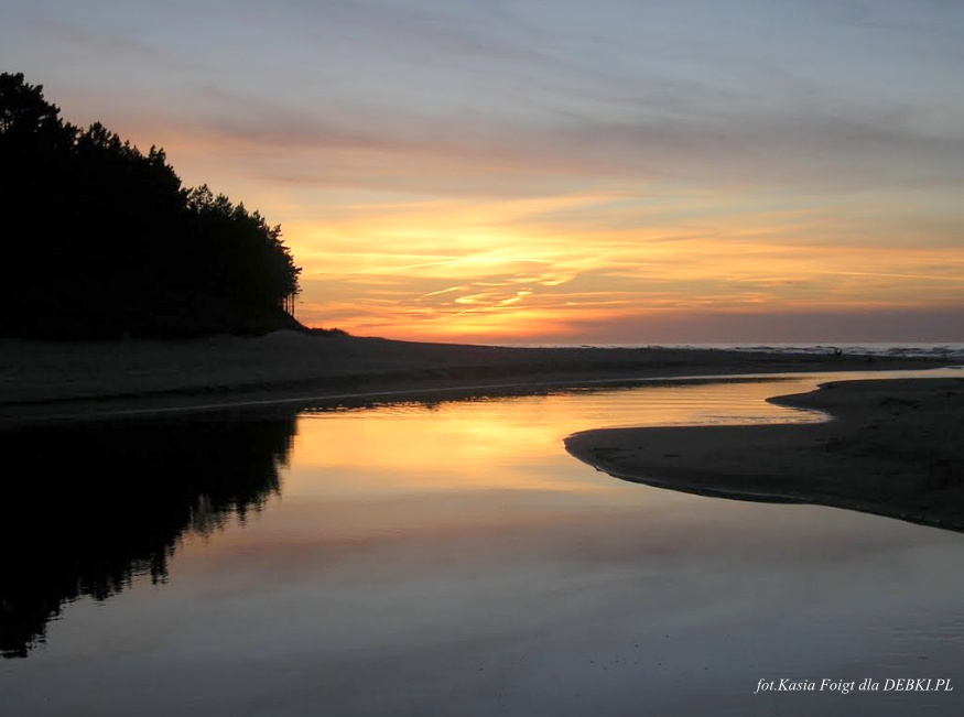 Plaża w Dębkach